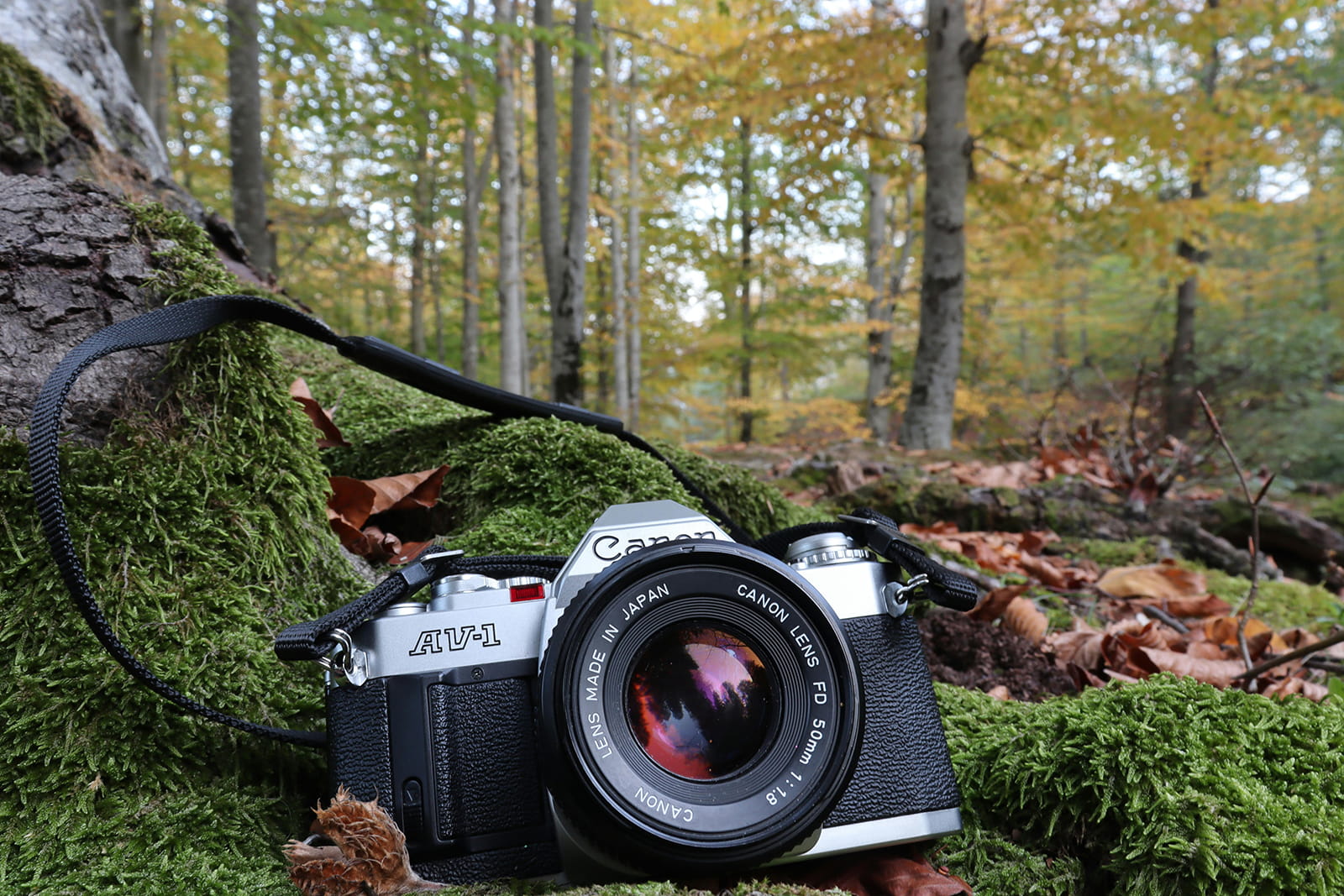 Smart & Affordable: Top Budget Real Estate Photo Editing Strategies to Boost Your Listings